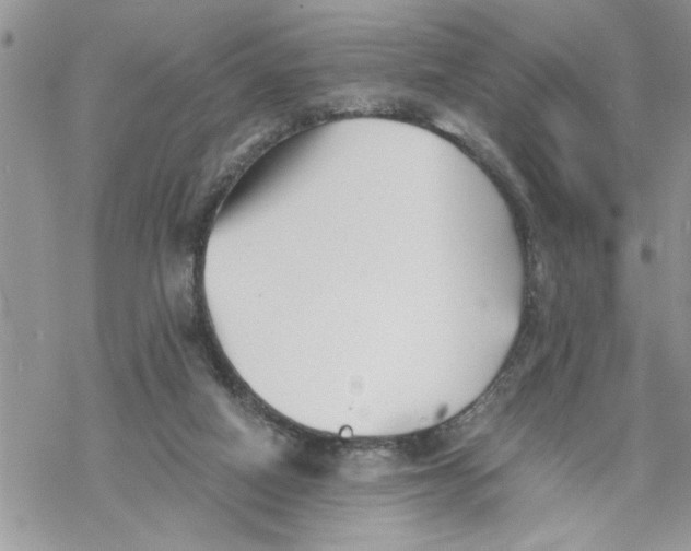 X0000069830066200606091456