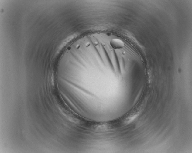 X0000069830068200606091456