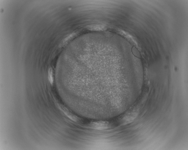 X0000069830069200606091456