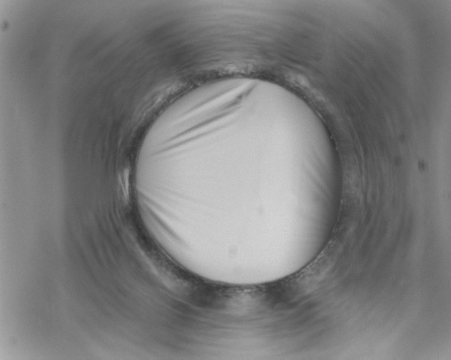 X0000069830070200606091456