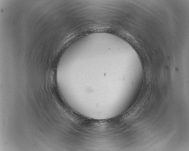 X0000069830071200606091456