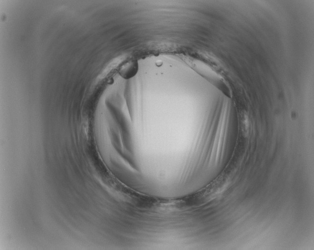 X0000069830072200606091456