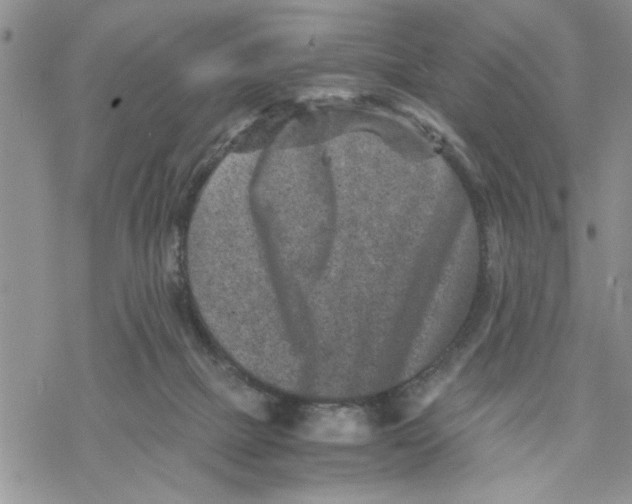 X0000069830073200606091456