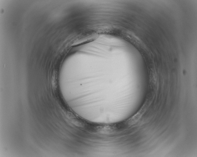 X0000069830074200606091456