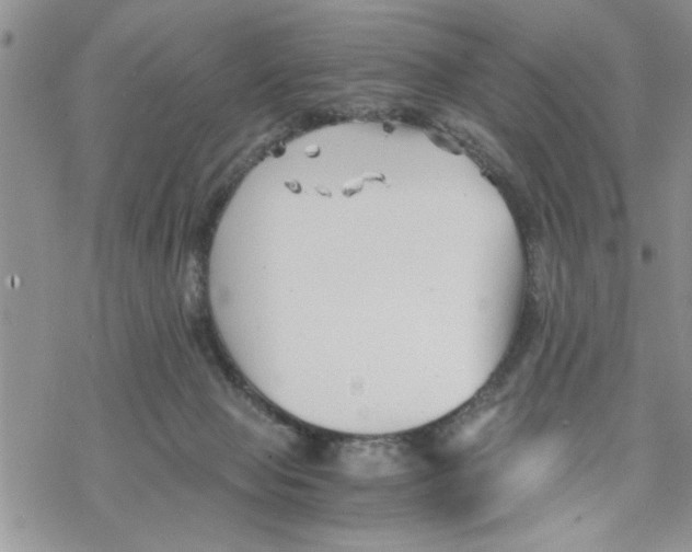 X0000069830077200606091456