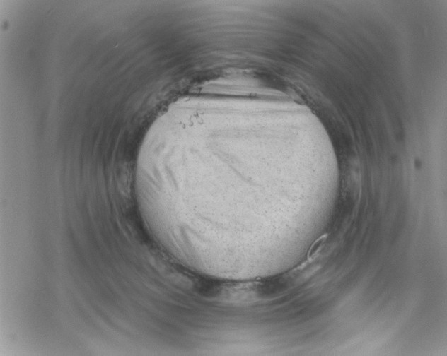 X0000069830078200606091456