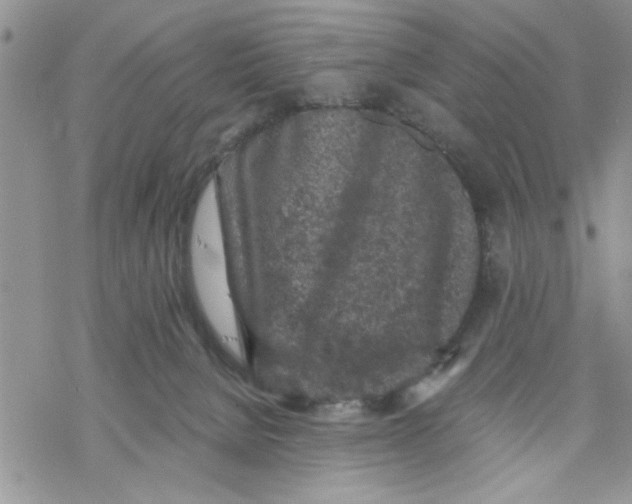 X0000069830080200606091456