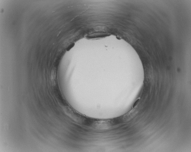 X0000069830082200606091456