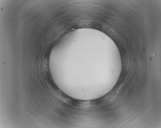 X0000069830083200606091456