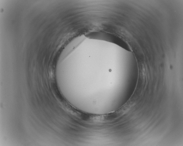 X0000069830084200606091456