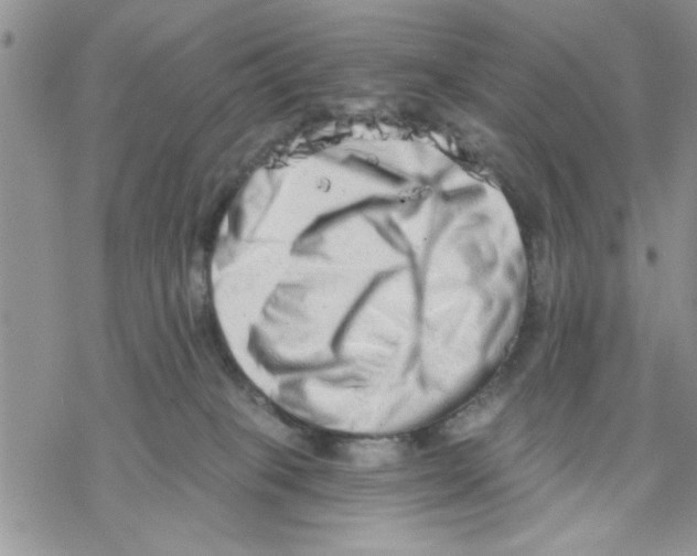 X0000069830085200606091456