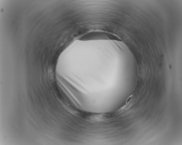 X0000069830086200606091456