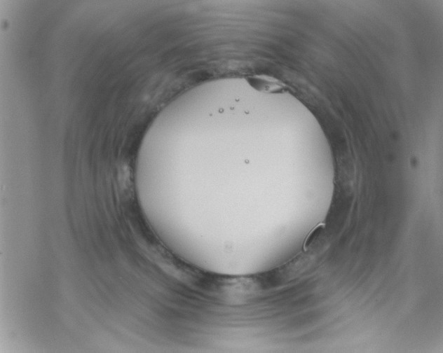 X0000069830087200606091456