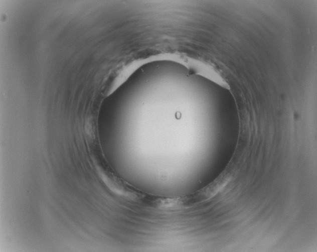 X0000069830088200606091456