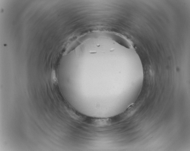 X0000069830089200606091456