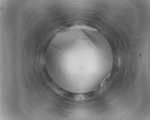 X0000069830091200606091456