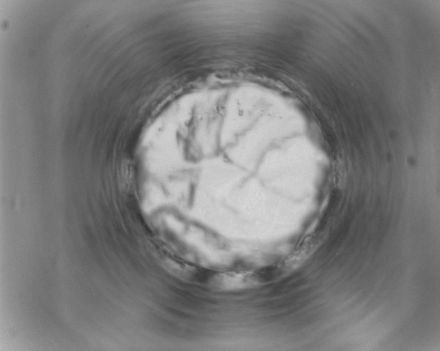 X0000069830093200606091457