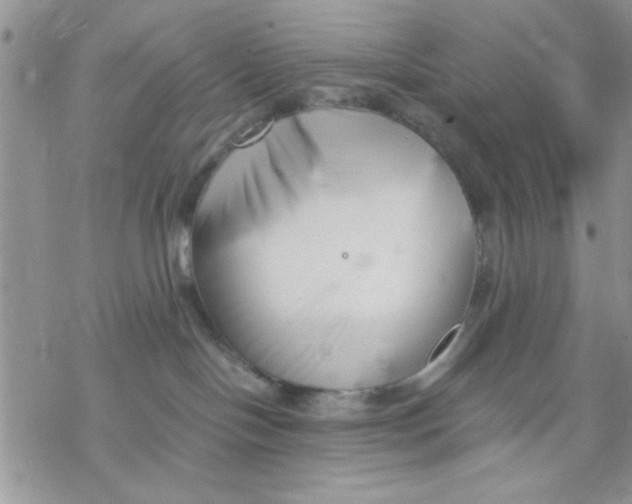 X0000069830094200606091457