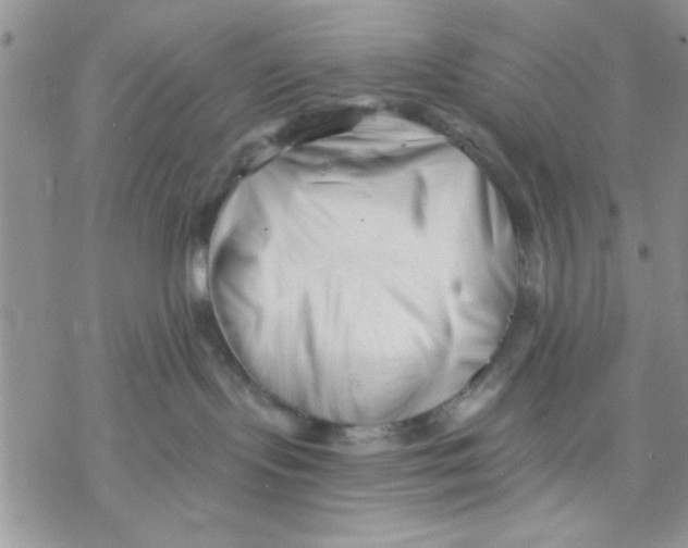 X0000069830095200606091457