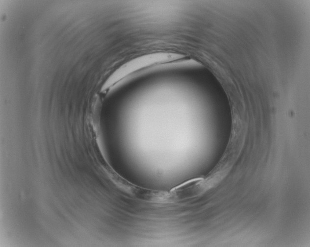 X0000069830096200606091457