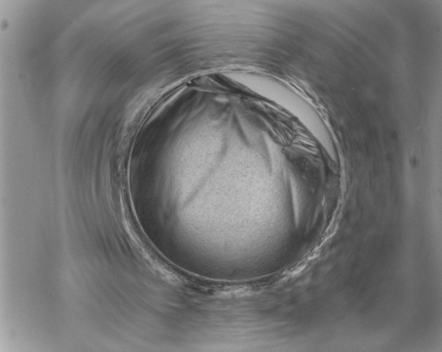 X0000069830097200606091456