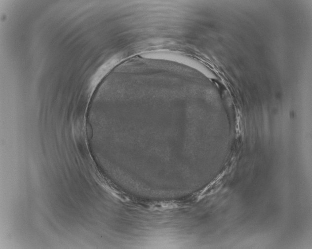 X0000069830099200606091456