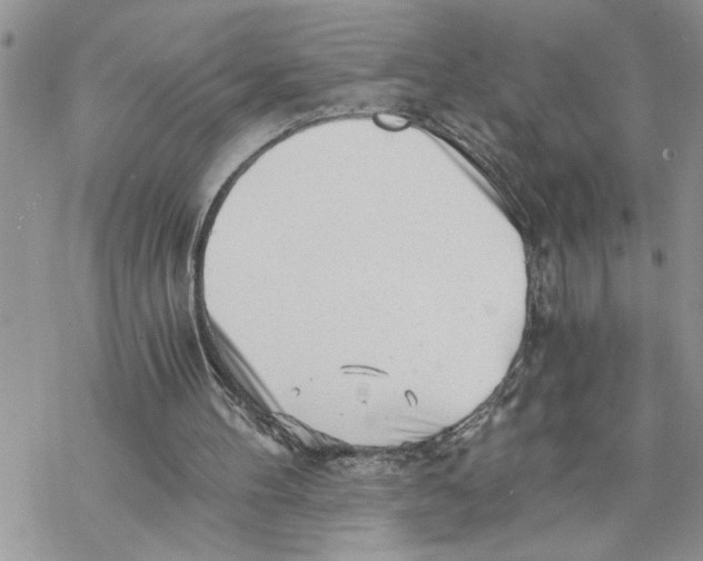 X0000069830100200606091456