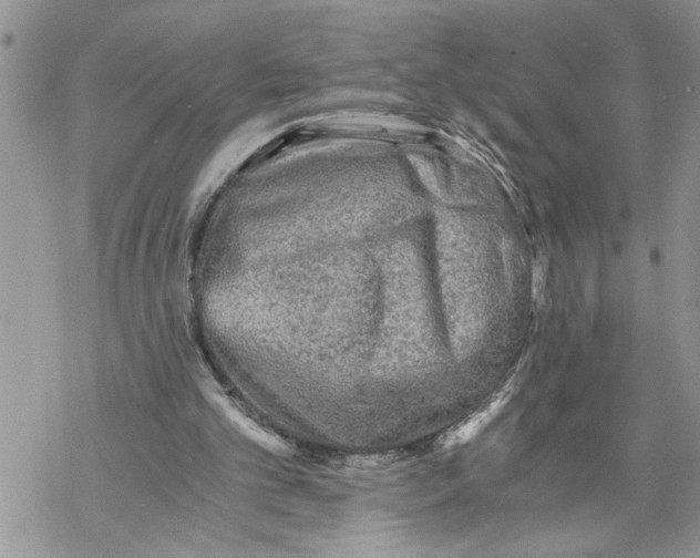 X0000069830101200606091456