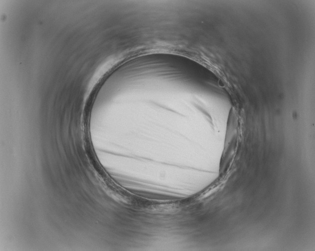 X0000069830102200606091456