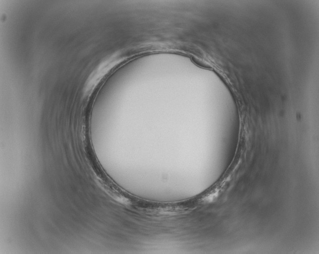 X0000069830103200606091456