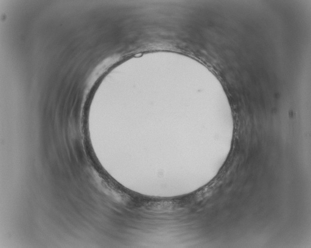 X0000069830104200606091456