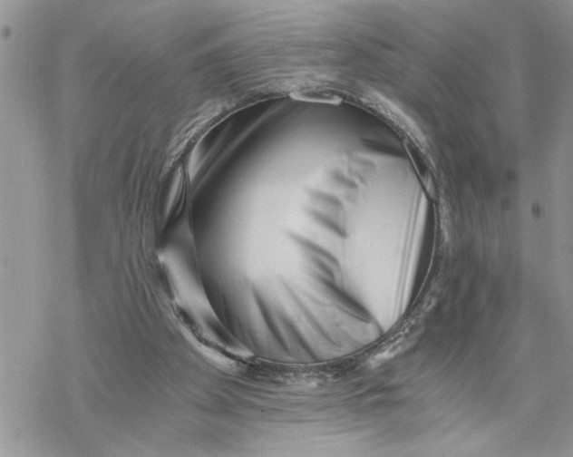 X0000069830105200606091456