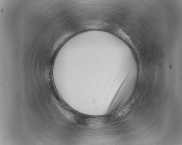 X0000069830106200606091456