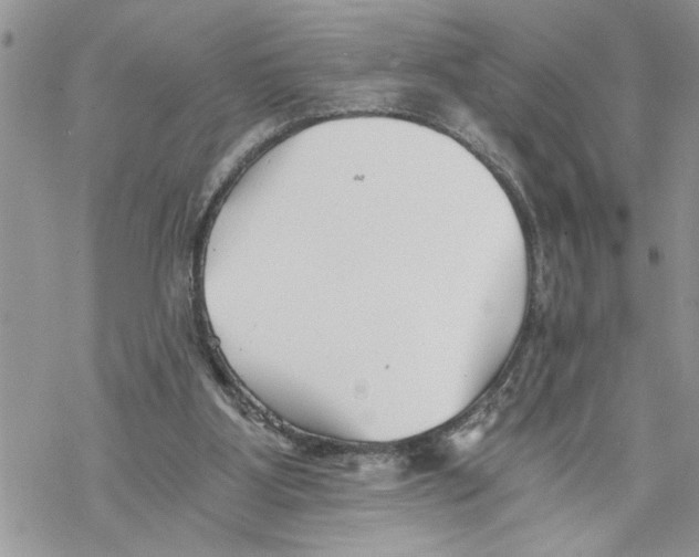 X0000069830107200606091455