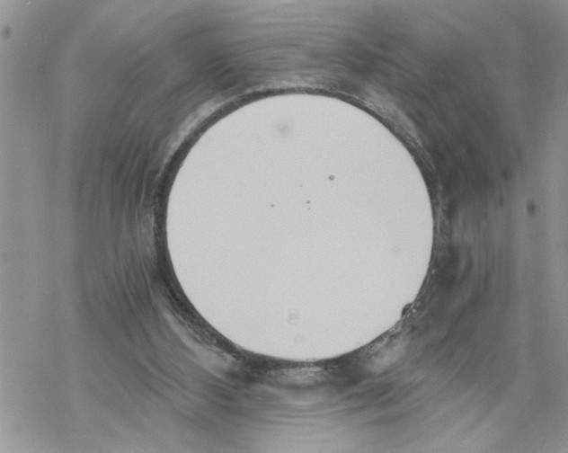 X0000069830108200606091455