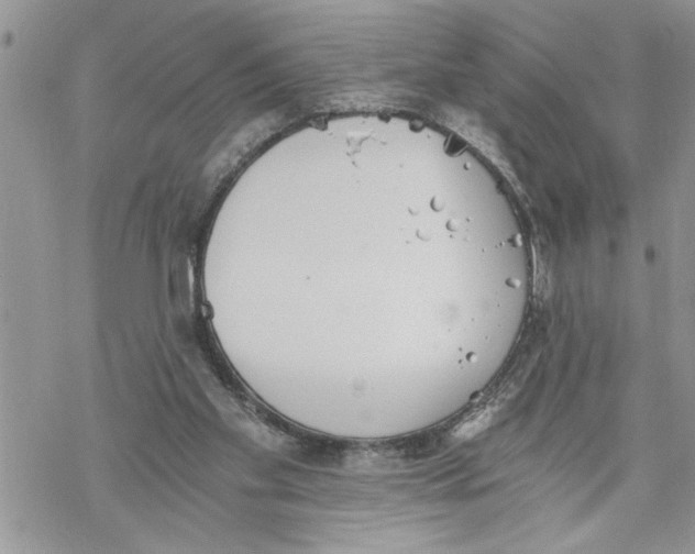 X0000069830109200606091455