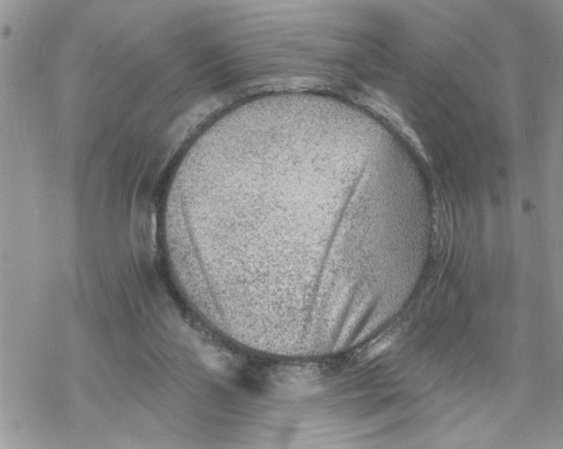 X0000069830110200606091455