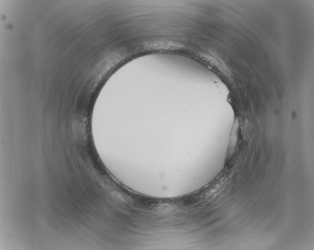 X0000069830111200606091455