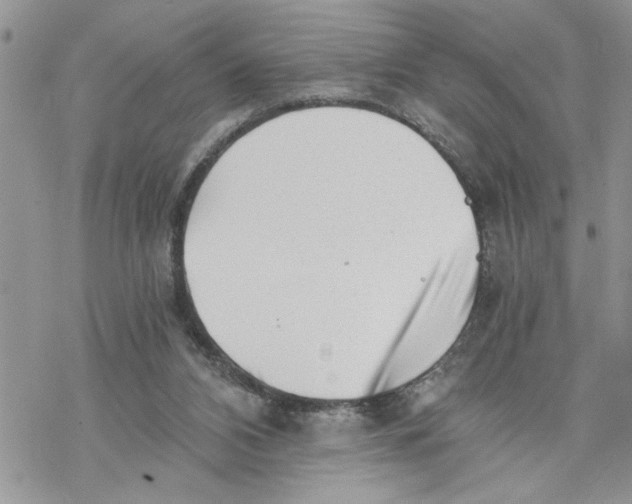 X0000069830112200606091455