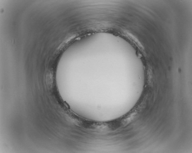 X0000069830113200606091455