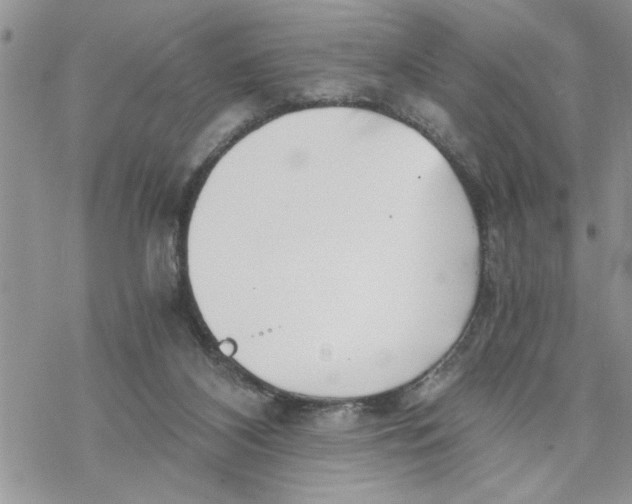 X0000069830116200606091455