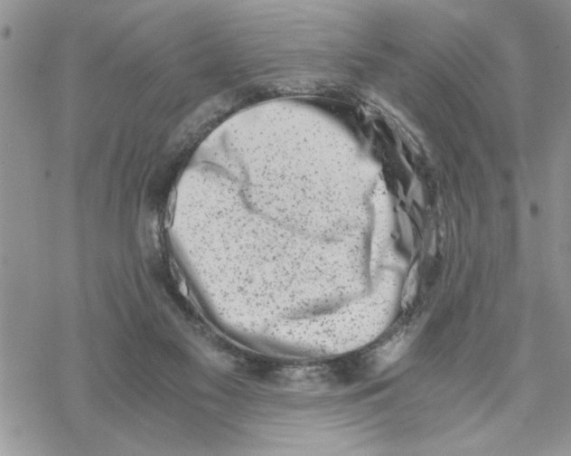 X0000069830117200606091455