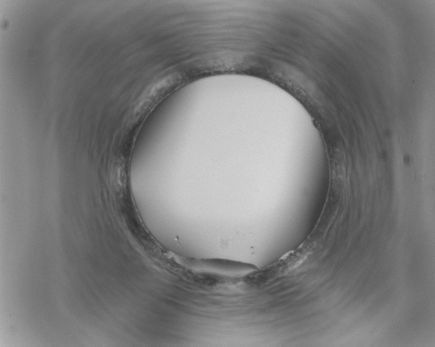 X0000069830119200606091455