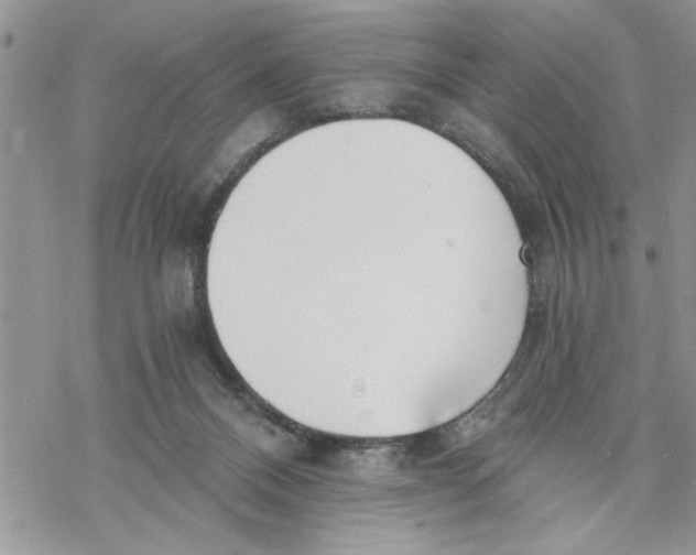 X0000069830120200606091455