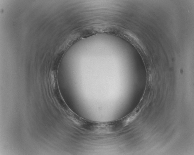 X0000069830121200606091455