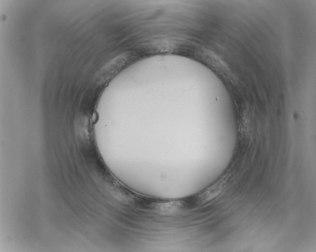 X0000069830122200606091455