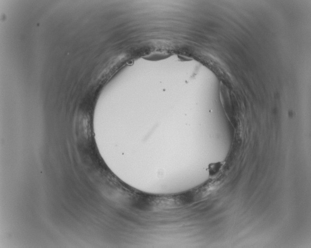 X0000069830123200606091455