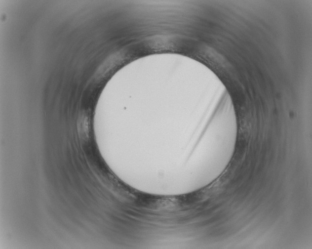 X0000069830124200606091455