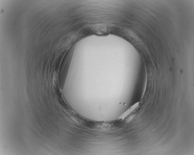 X0000069830125200606091455