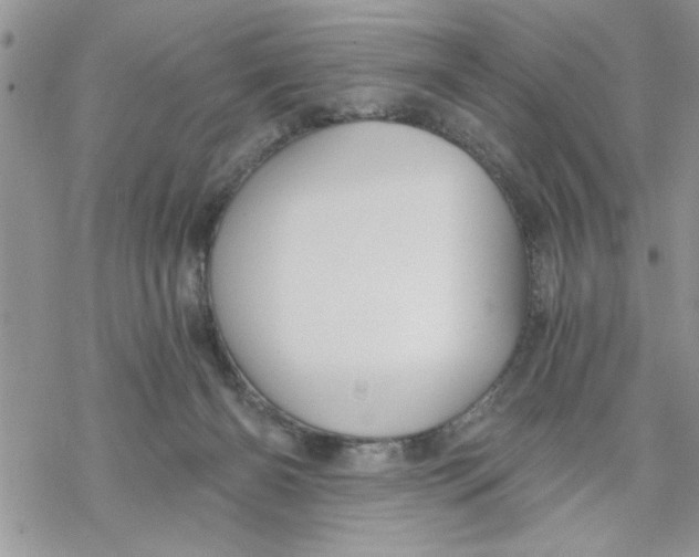 X0000069830126200606091455